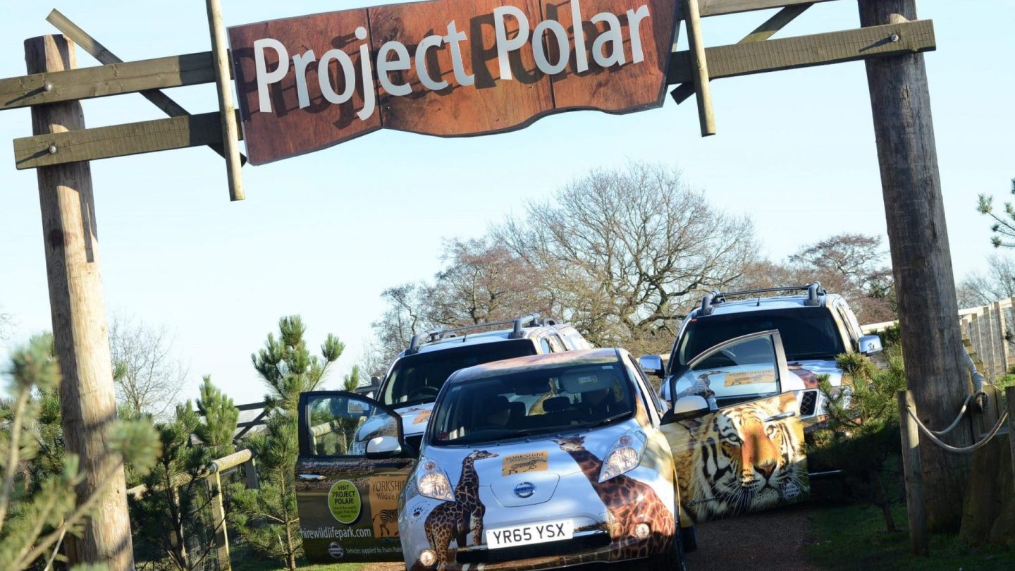 Some of the Yorkshire Wildlife Park's fleet wrapped by HG Graphics.