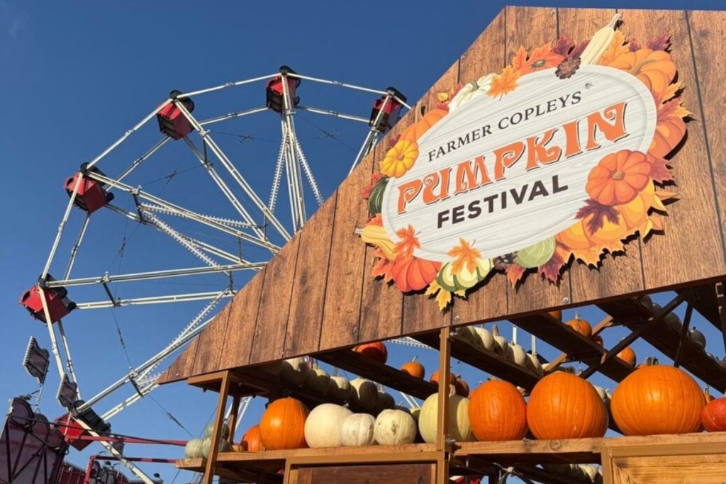 Farmer Copleys - Pumpkin Festival shopfront signage