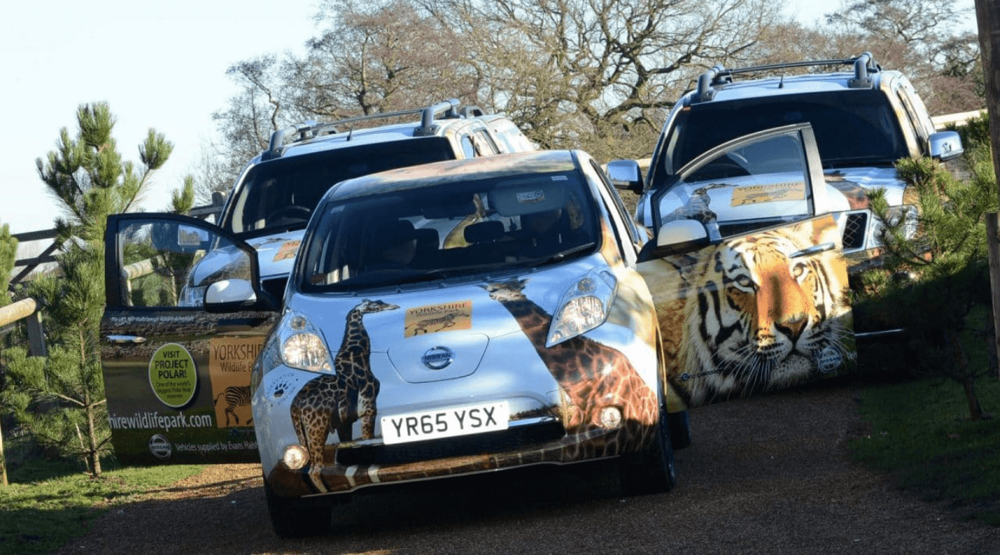 Vehicle-brand-wrapping-in-Sheffield